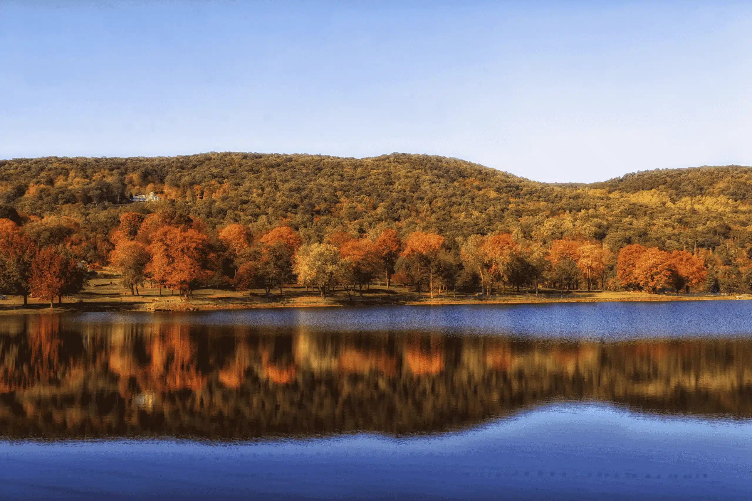 orange ct